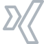 xing logo